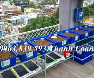 Cung cấp bể nhựa nuôi cá 500L, 750L, 1000L, 2000L.../ 0963.839.593 Ms.Loan