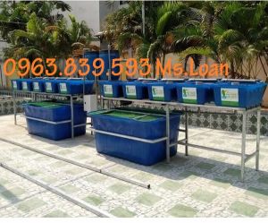 Thùng nhựa 750lit 1 lớp, thùng nhựa 2 lớp 750L chữ nhật, thùng nuôi cá giá rẻ./ 0963.839.593 Ms.Loan